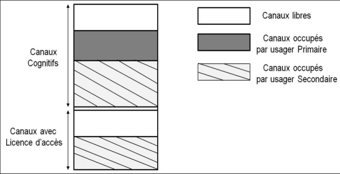 Figure 1.1 Structure des canaux d’un nœud. 