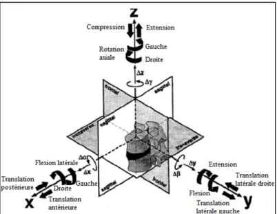 Figure 1-4 Mouvements et degrés de liberté de la  colonne vertébrale 