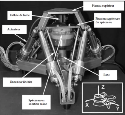 Figure 2-8 Robot parallèle avec spécimen en solution  saline 