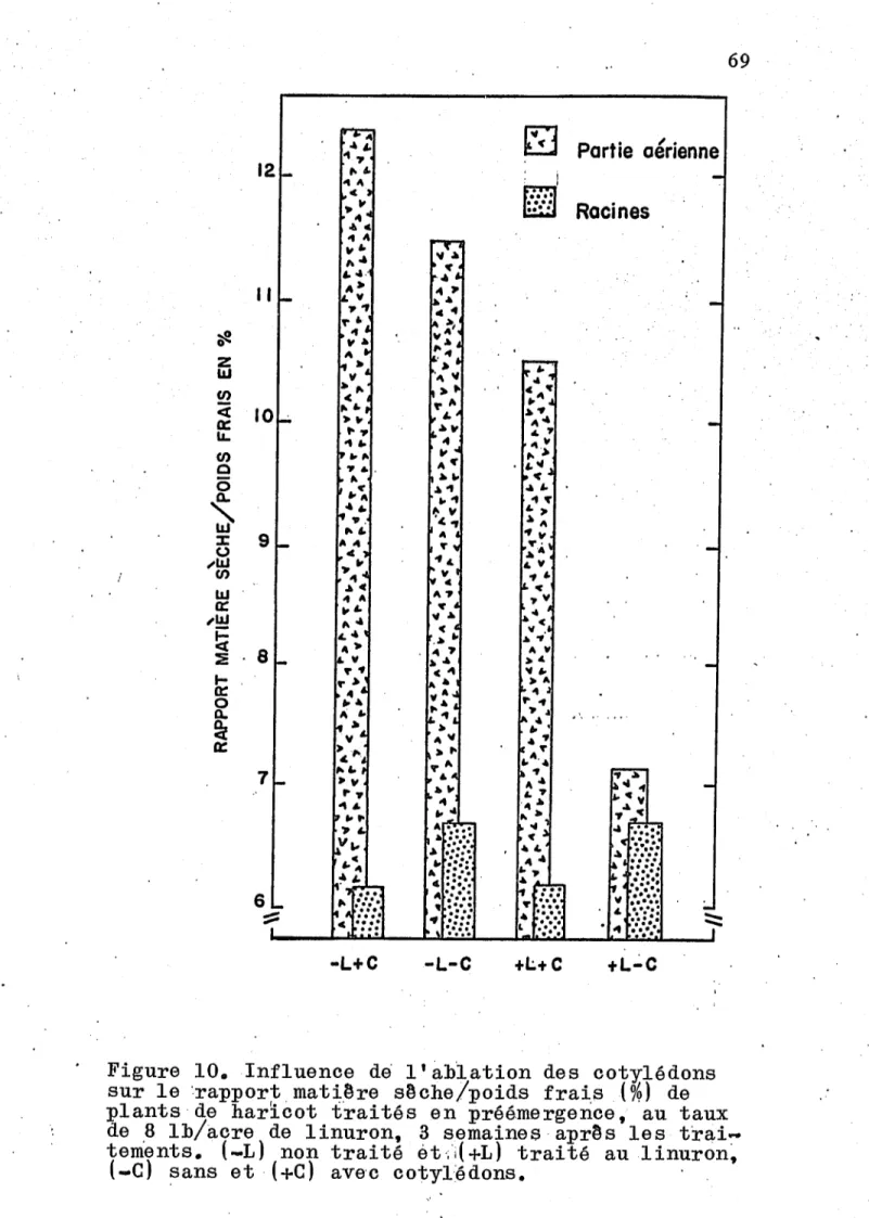 Figure  10.  Influence  de'  l '  ab'Iation  des  cotylédons  sur  le  'rapport,  mat~,êre  sêche!poids  frai,s(  %)  de  plants  de  har~cot  traités  en  préémergence,  au  taux  de  ,8  lb/acre  de  linuron,  3  semaines· aprês  les  trai~ 