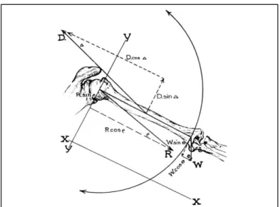 Figure 1.12 Représentation des forces par  Inman,   Saunders, et Abbott (1944)  