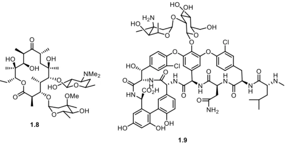 Figure 1.4. Examples of macrocyclic antibiotics: Erythromycin 1.8 and Vancomycin 1.9. 