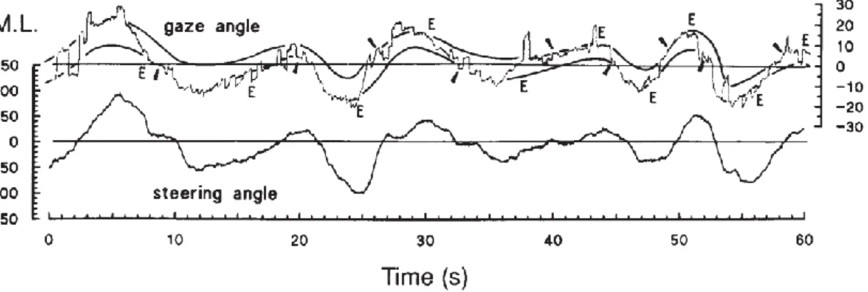 Figure B-2 : Coordination visuomotrice en conduite manuelle dans l’expérience de Land &amp; Lee (1994)