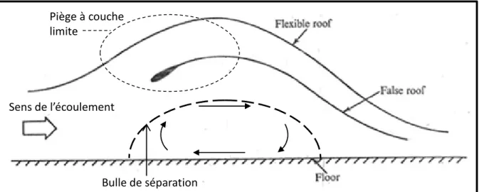 Figure 1.4 Configuration usuelle du canal d’essai pour la création d’une bulle de séparation :  divergent-convergent surmontée d’un plafond flexible  