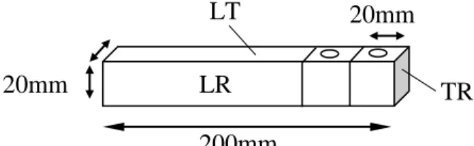 Figure 2 Schematic of Sample Preparation200mm 