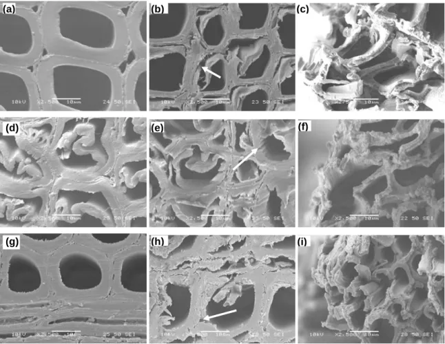 Fig. 3 SEM images (×2500) on transverse surface of specimens before and after 1512 h of artificial weathering: (a)  untreated jack pine before weathering; (b) heat-treated jack pine before weathering; (c) heat-treated jack pine after  weathering; (d) untre