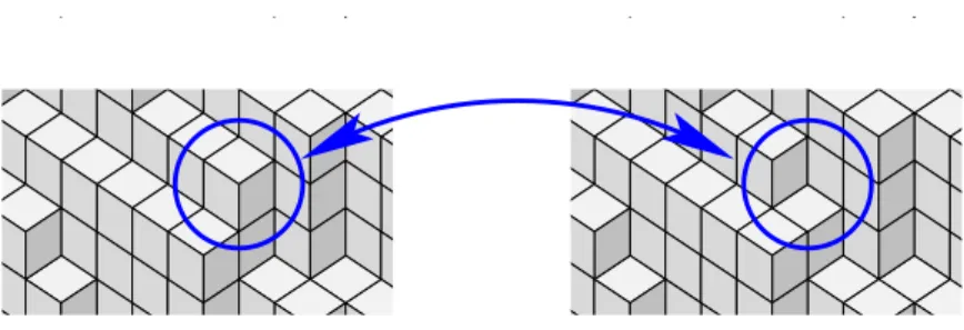 Fig. 1.9  Dans le as planaire, trois tuiles en forme de parallélogramme peuvent