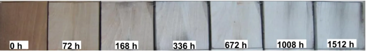Fig. 1 Comparison of heat-treated surfaces of three species at different weathering times: 