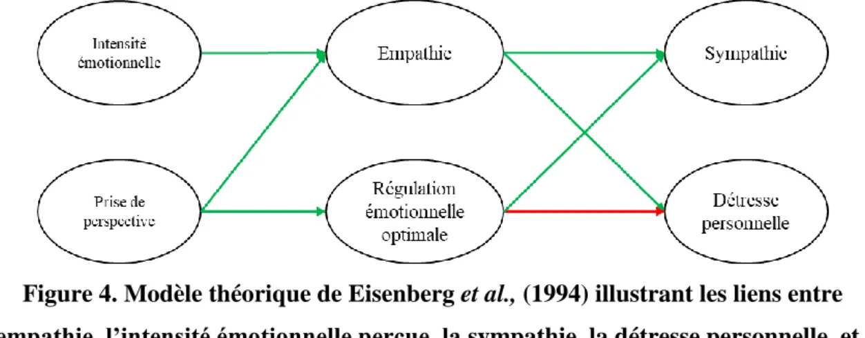 Figure 4. Modèle théorique de Eisenberg et al., (1994) illustrant les liens entre  l’empathie, l’intensité émotionnelle perçue, la sympathie, la détresse personnelle, et la 