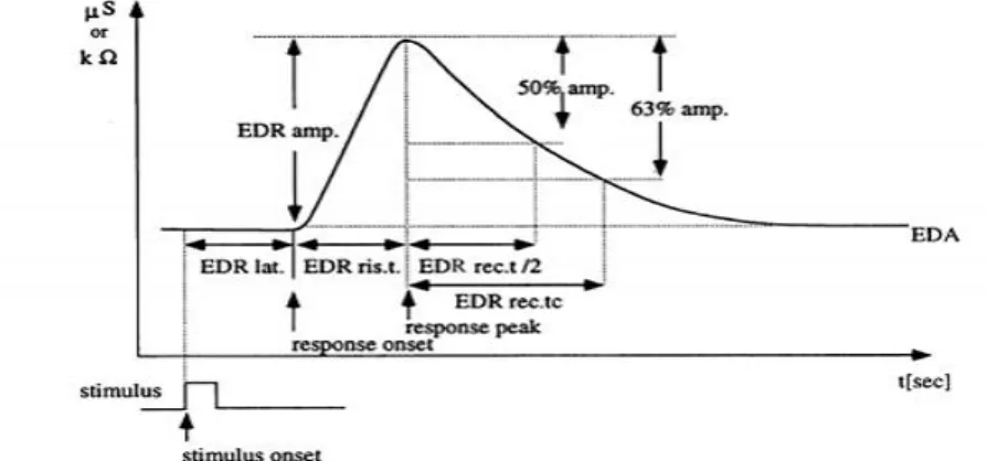 Figure 9. Représentation schématique de la réponse électrodermale. Reproduit à partir  de Dawson, Schell &amp; Filion (2007)