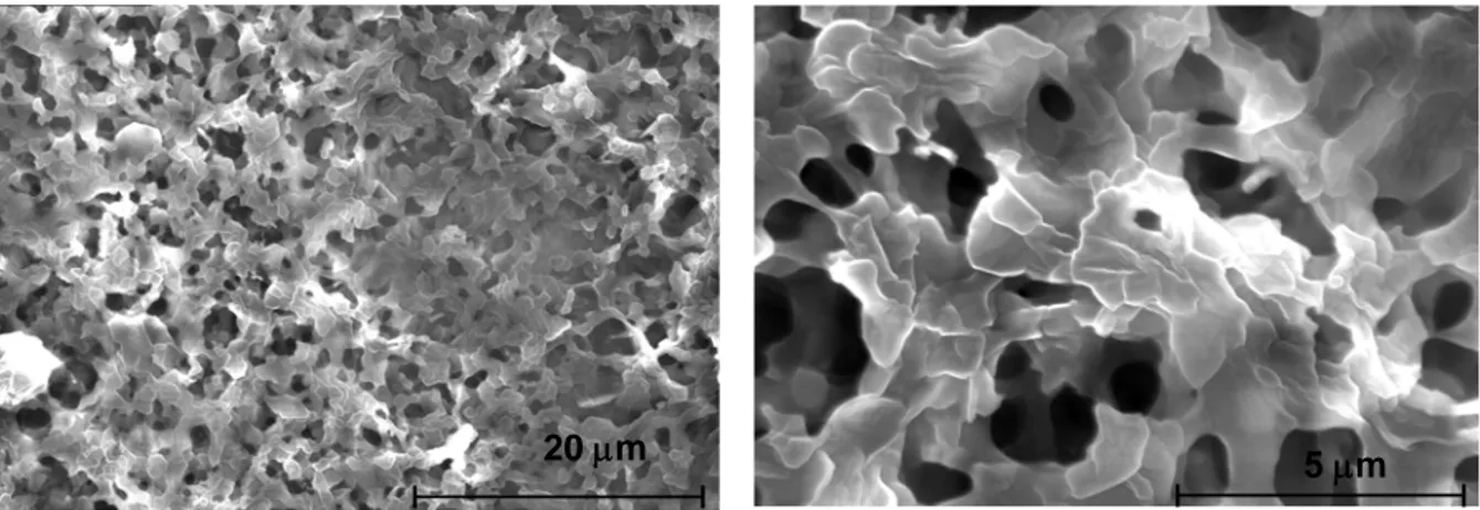 Figure 1 shows FE-SEM images of a stearic acid coating deposited on the aluminium alloy surface