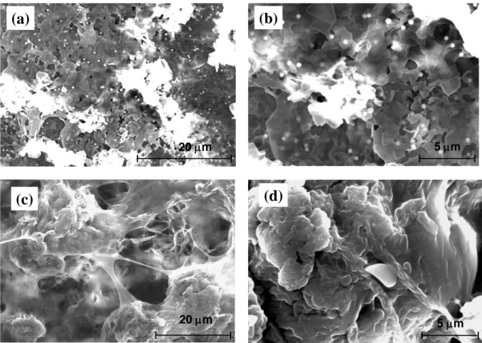 Figure 3: Scanning electron microscopy images of a stearic acid-SiO 2  coating: (a) low  magnification image  (b) magnified image; stearic acid-CaCO 3  coatings (c) low magnification  image  (d) magnified image 
