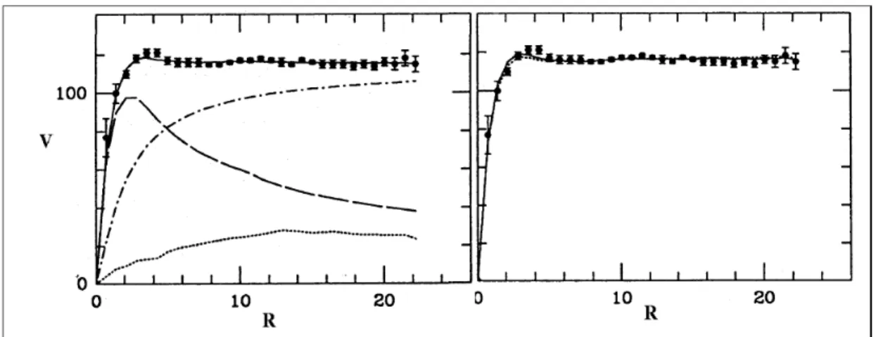 Figure 1.8 – Comparaison des courbes de rotation des galaxies selon deux modèles.