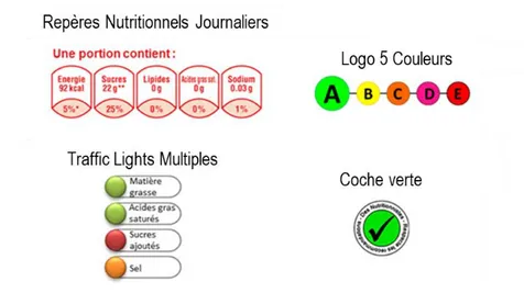 Figure 8. Etiquetages nutritionnels testés par Ducrot et al. (2015a). 