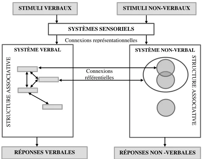Figure 4. Représentation schématique de la structure des systèmes symboliques verbal et non- non-verbal,  montrant  les  unités  représentatives  et  leurs  interconnexions  référentielles  (entre  les  systèmes) et associatives (dans les systèmes) ainsi q
