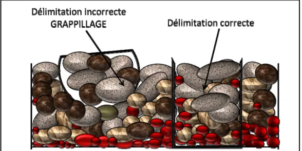 Figure 2. 2 Erreur de ségrégation et groupement lors de l’échantillonnage 