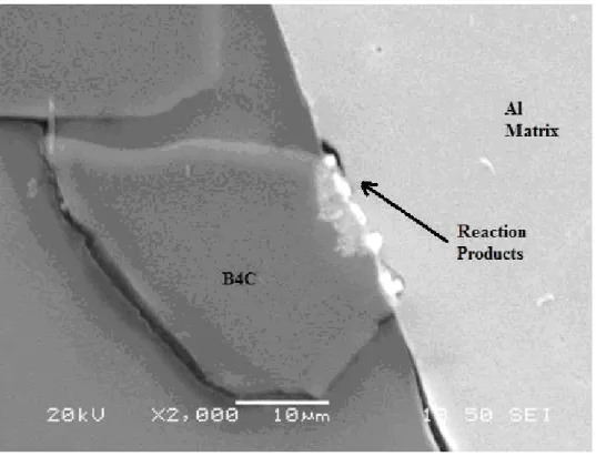Figure 9: SEM Micrograph of Al/B 4 C Obtained at 850°C and 20 min of Contact Time