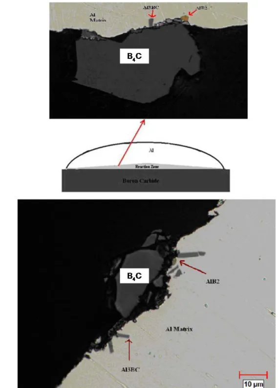 Figure 8: View of the Interfacial Reaction Layer at the Central Cross Section of the Drop for  B 4 C/Al System Obtained at 850°C and 20 min of Contact Time using Optical Microscopy 