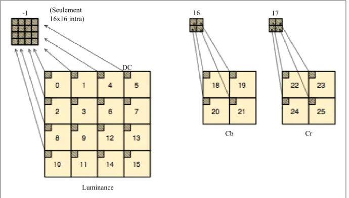 Figure 1.11 Ordre de balayage des coefﬁcients de blocs à l’intérieur d’un macrobloc de l’erreur résiduelle lors de la transformée entière 4 × 4.