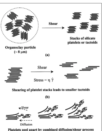 Figure 1.3 Représentation des mécanismes d’intercalation et d’exfoliation des plaquettes  d’argile lors de la production des nanocomposites à l’état fondu 