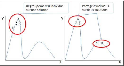 Figure 2.17 À gauche sans sharing, concentration des individus sur une seule solution         À droite avec sharing, partage des individus sur les deux solutions