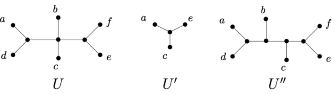 Figure 2.1: Three unrooted trees to illustrate the restriction and refinement relationships