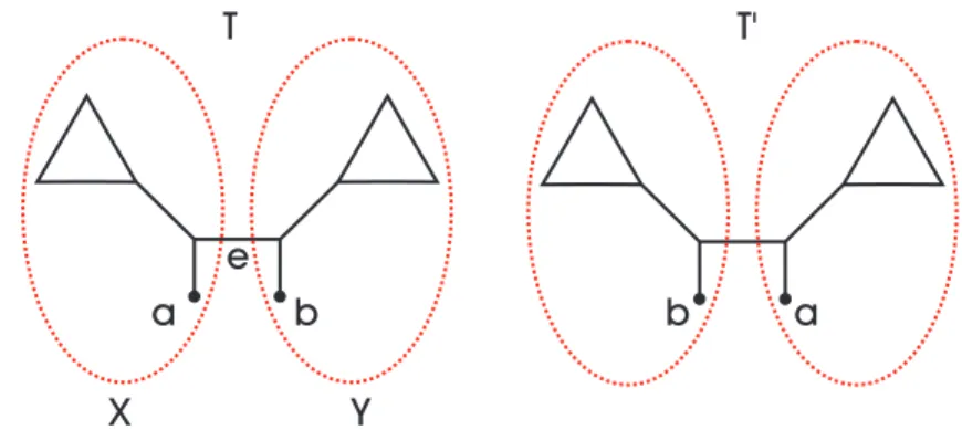 Figure 4.1: An extreme case of subtrees surrounding an edge e. This leads to establishing cleaning bounds.
