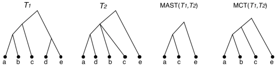 Figure 6.1: A collection T = { T 1 , T 2 } of two incompatible trees, a maximum agreement subtree for T and a maximum compatible tree for T 