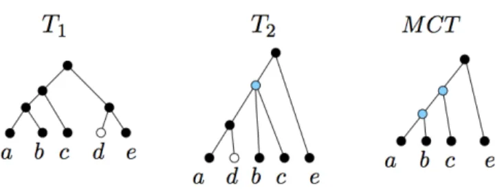 Figure 6.2: An incompatible collection of two input trees { T 1 , T 2 } and their maximum compatible tree T 