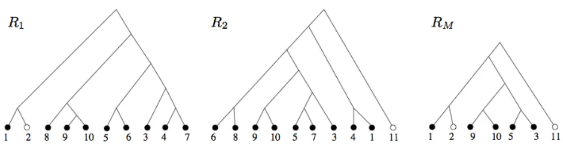 Figure 7.1: A collection R = { R 1 , R 2 } of two source trees on tomatoes taken from [BR04] and a supertree R M 