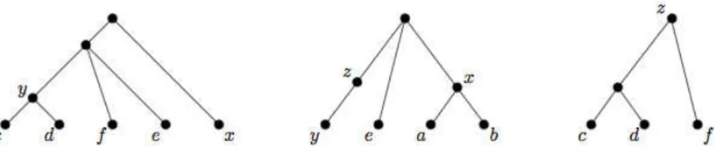 Figure 8.1: A compatible collection of three nested taxa source trees.