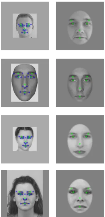 Figure 4. Leftmost column: Sample faces annotated in Experiment 1. The 20 blue  crosses show, for these faces, the average annotations across participants