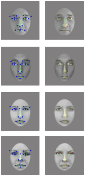 Figure 6. Leftmost column: In Experiment 2, feature masks—shown in translucid  green—were bestfitted to the aligned annotations—represented by blue crosses