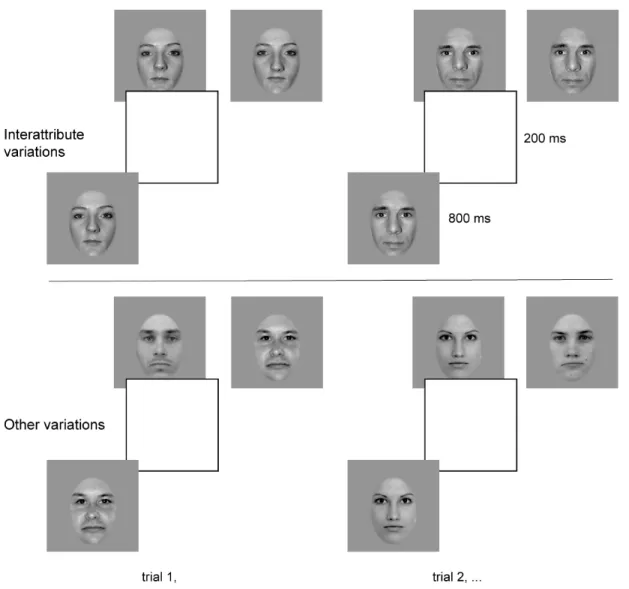 Figure 7. Sequence of events in two sample trials of our experiments. Top: In  Experiment 2a, we asked whether human observers can use this real-world interattribute  distance information, at different viewing distances, to resolve a matching-to-sample  (A