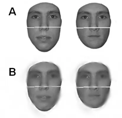 Figure 9. (A) Visages composites utilisés dans les études sur l’effet composite (B)  Visages de la section A présentées avec la technique Bubbles (Visages originaux; 