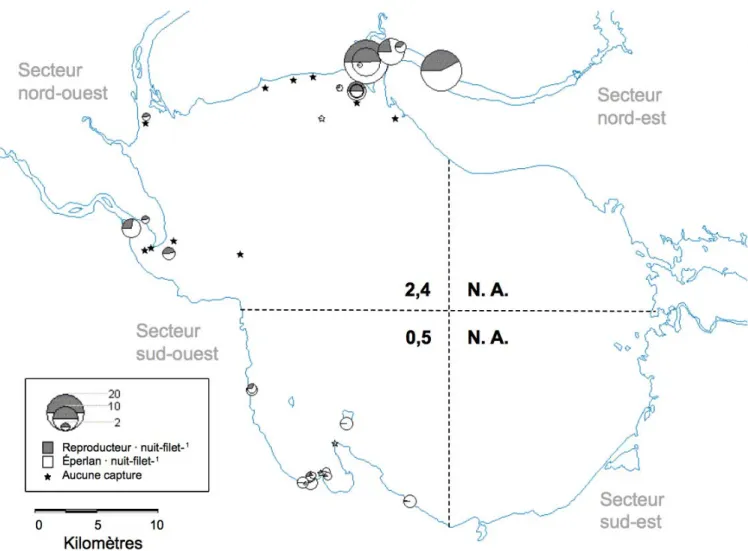 Figure 2.1 : Carte de la distribution de l'abondance des éperlans adultes stadés (individus · nuit-filet -1 ) au lac Saint-Jean lors  d’échantillonnages printaniers entre 1985 et 2007