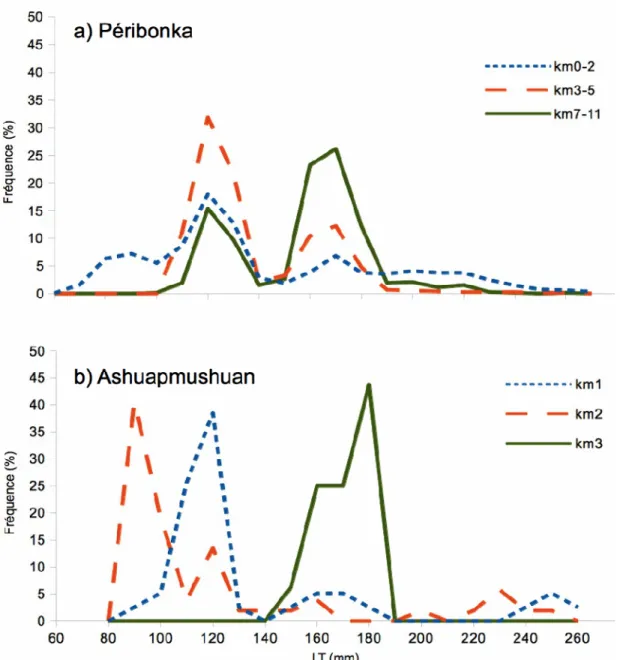 Figure 2.3  : La fréquence de taille des éperlans arc-en-ciel adultes (%) depuis  l'embouchure des rivières (a) Péribonka et (b) Ashuapmushuan (MRNF données non  publiées)