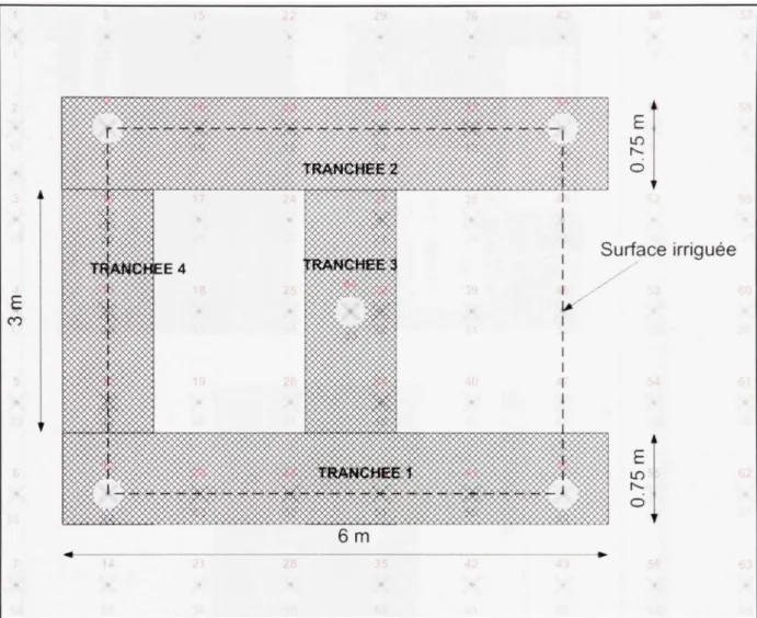 Figure 3.3 Positio n de s tranchées ave c en filigrane la  disposition de s électrodes