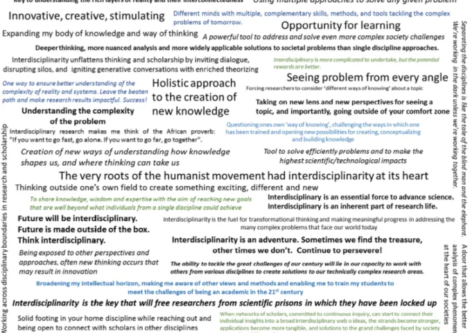 Fig. 7. Quotes from authors describing what interdisciplinarity means to them. (Image created with Nvivo v