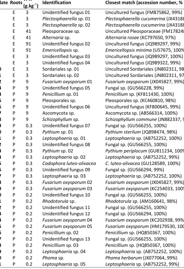 Table  2.  List  of  isolated  fungal  endophytes  from  surface-sterilized  roots  of  Eleocharis  erythropoda (E) and Populus sp