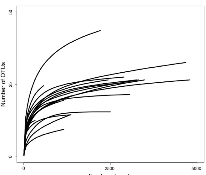 Figure  1.  Rarefaction  curve  of  OTUs  in  each  root  sample  against  the  number  of  454  reads  excluding  singletons