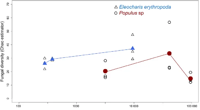 Figure  2.  Endophyte  diversity  in  of  E.  erythropoda  and  Populus  sp.  roots.  Data  show  the  estimated  number  of  OTUs,  as  calculated  by  the  Chao  Richness  Index  on  the  sequences  clustered at 97% nucleotide identity