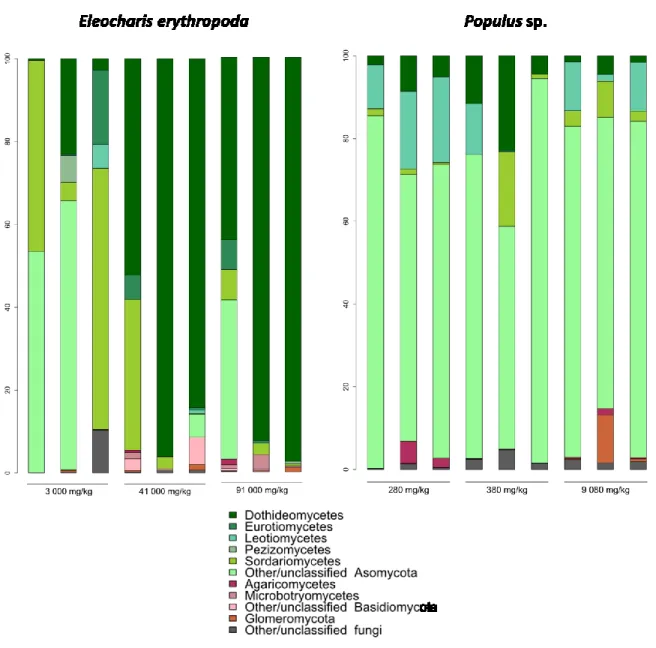 Figure 4. Taxonomic composition of endophytic fungal communities recovered from roots of  E