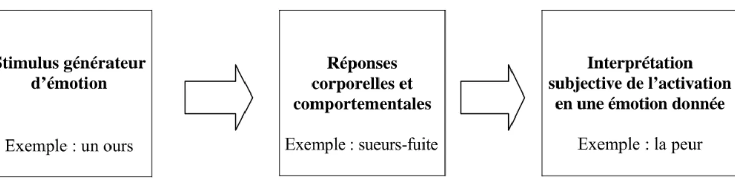 Figure 4 : Processus émotionnel d’après la théorie de Cannon-Bard (1927) Stimulus générateur d’émotion Exemple : un ours Réponses corporelles et comportementales Exemple : sueurs-fuite Interprétation  subjective de l’activation 