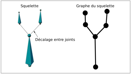 Figure 3.3 Graphe de squelette avec décalage entre parent et enfant.