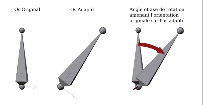 Figure 3.14 Orientation des joints adaptés à l’aide de la rotation correspondante à la transformation