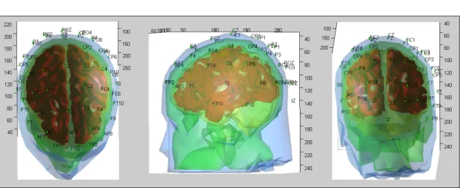 Figure 1.9    De gauche à droite : vues axiale, sagittale et coronale de la surface corticale  (rouge) imbriquée dans le cortex (jaune), la surface externe du crâne (vert), et la peau  (bleu)