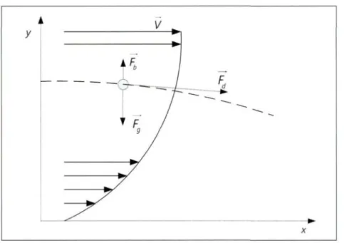 Figure III.ll: Déplacement d'une particule de sel dans un écoulement d'air du type laminaire