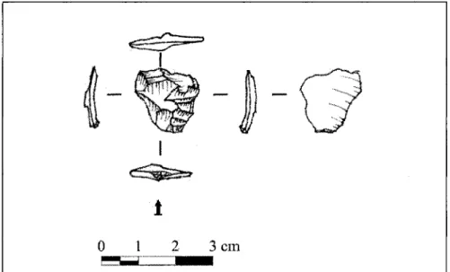 Figure 7 : Exemple d'éclat de façonnage, second stade (02.1069).