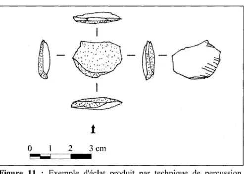 Figure 11 : Exemple d'éclat produit par technique de percussion directe dure (97.3334).